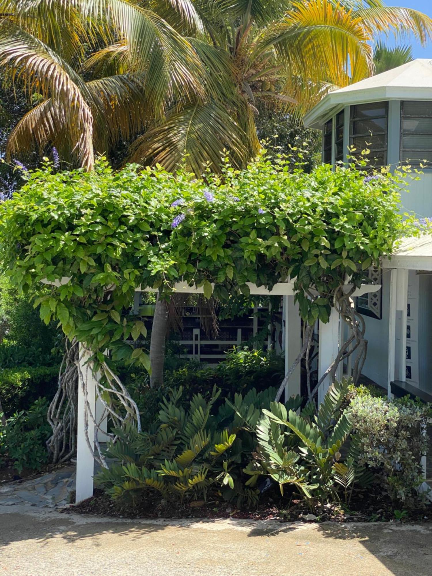 Club Seabourne Hotel Isla Culebra Exterior photo